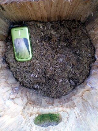 設計図は「iPhone 6s」がわずかに厚くなり、ホームボタンは維持される可能性を示唆している